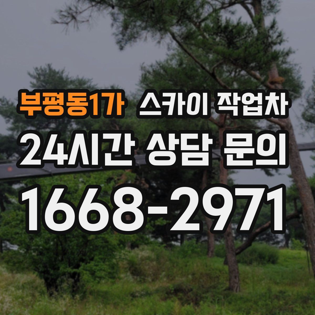 부평동1가 스카이 작업차