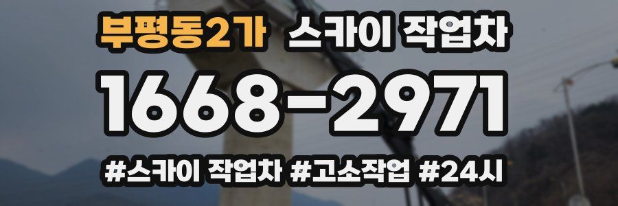 부평동2가 스카이 작업차