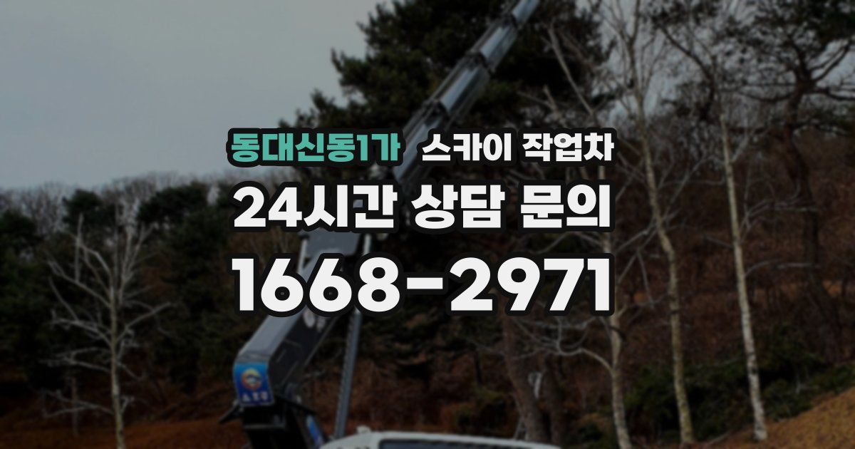 동대신동1가 스카이 작업차