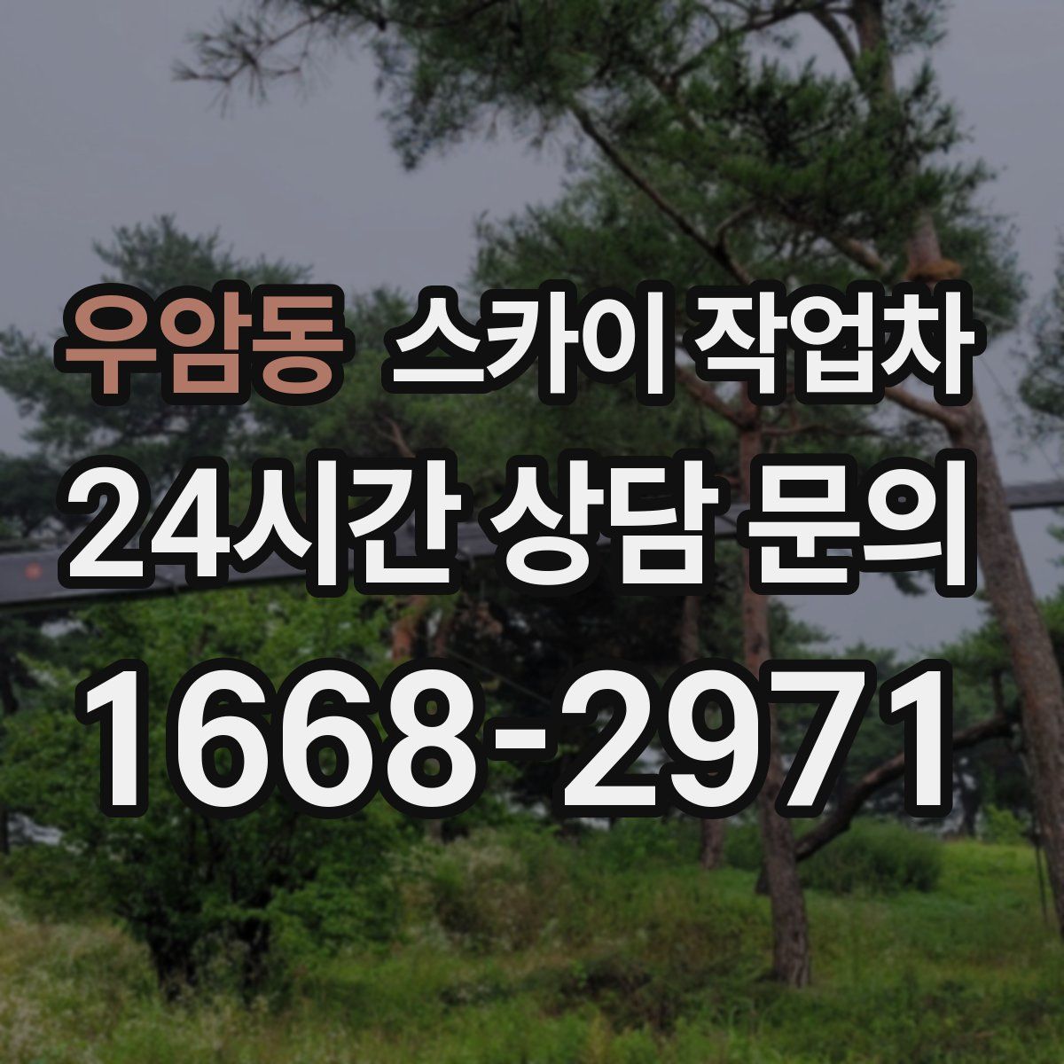 우암동 스카이 작업차