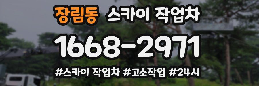 장림동 스카이 작업차