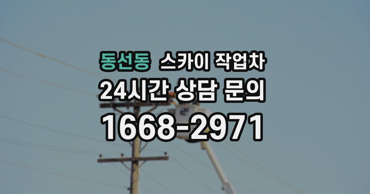 동선동 스카이 작업차
