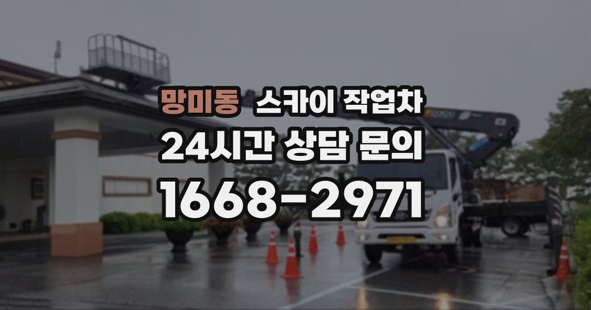 망미동 스카이 작업차