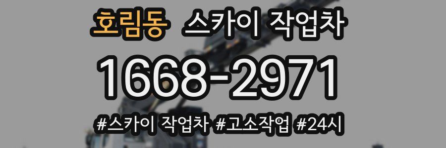 호림동 스카이 작업차