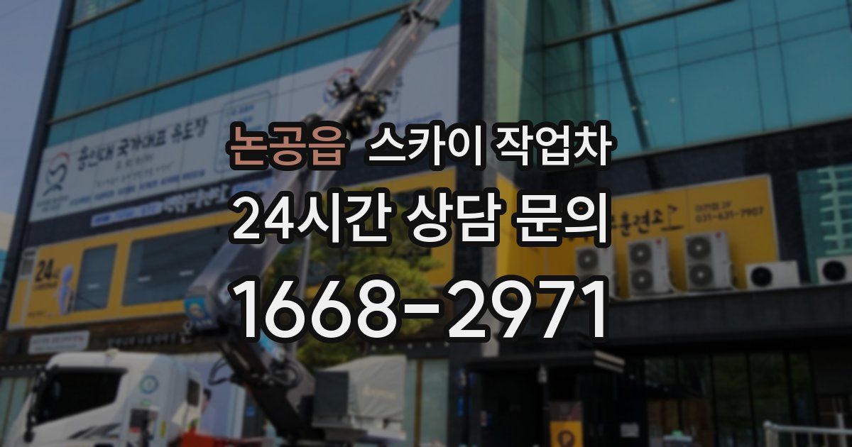 논공읍 스카이 작업차