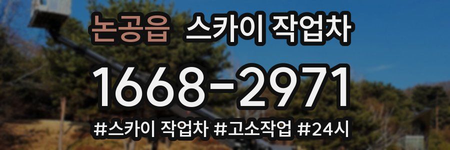 논공읍 스카이 작업차