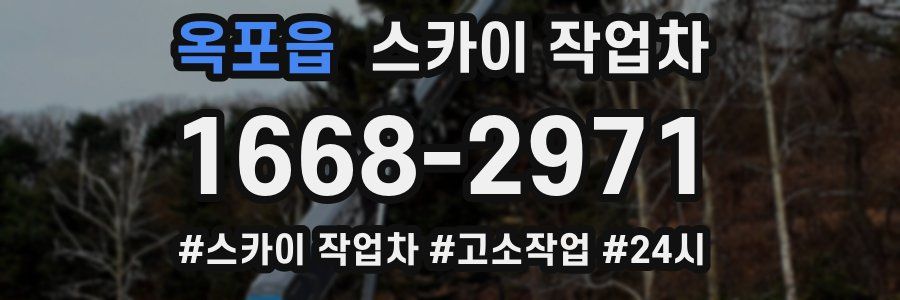 옥포읍 스카이 작업차