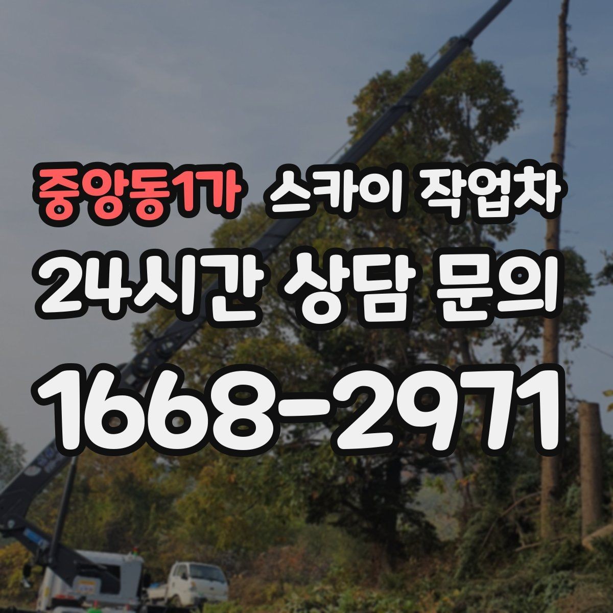 중앙동1가 스카이 작업차 간판 전원선 정리로 누전 위험 줄이기
