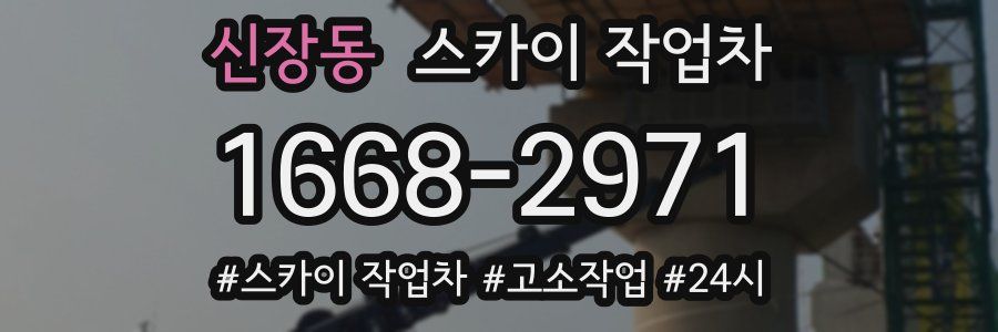 신장동 스카이 작업차