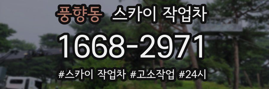 풍향동 스카이 작업차