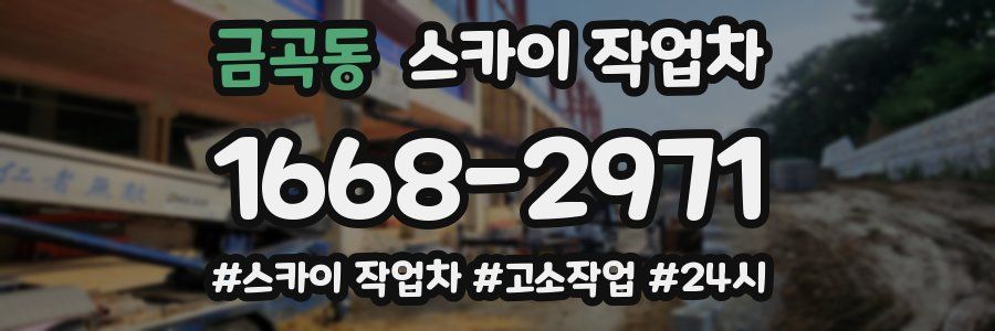 금곡동 스카이 작업차