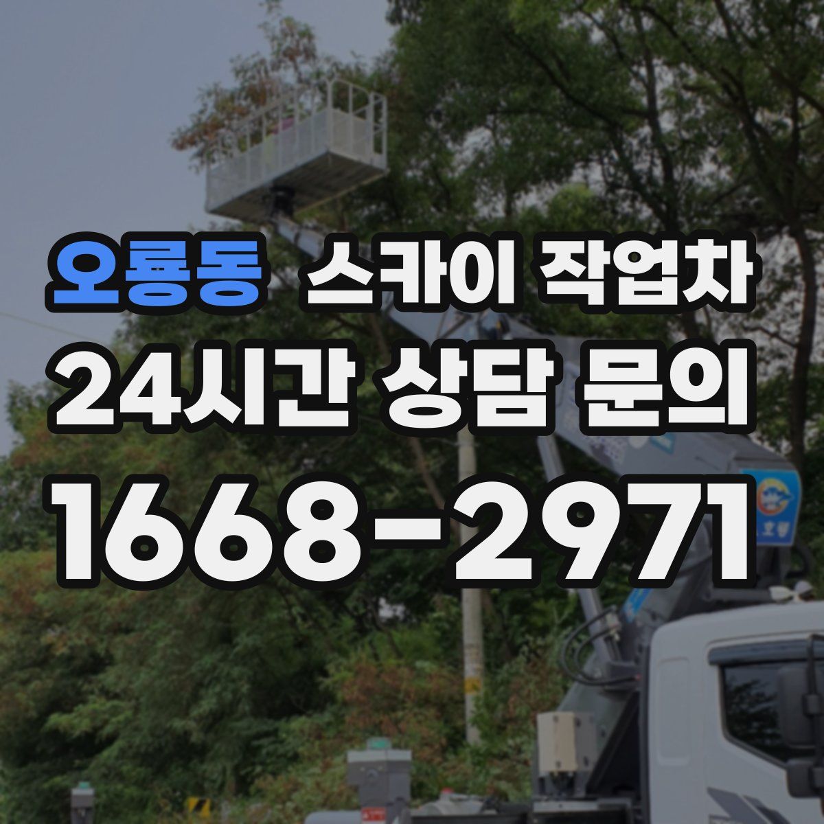 오룡동 스카이 작업차