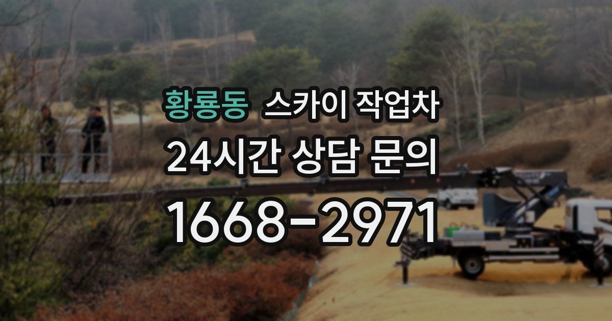 황룡동 스카이 작업차