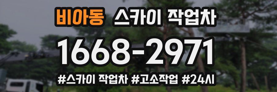 비아동 스카이 작업차