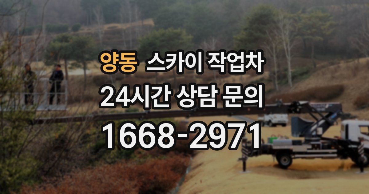 양동 스카이 작업차