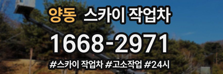 양동 스카이 작업차