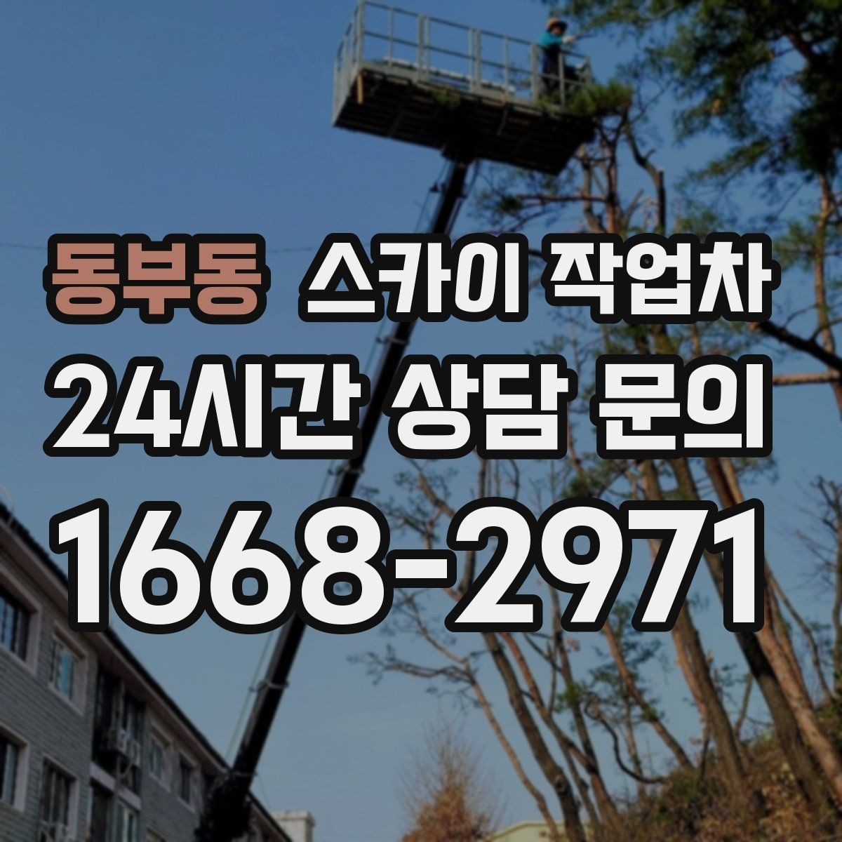 동부동 스카이 작업차 작업 동선 확보가 중요한 이유
