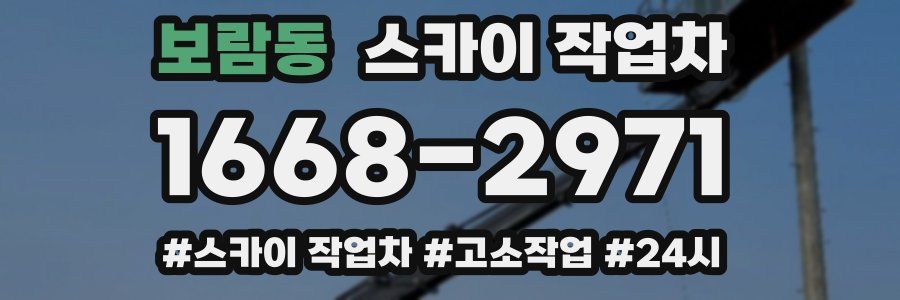 보람동 스카이 작업차