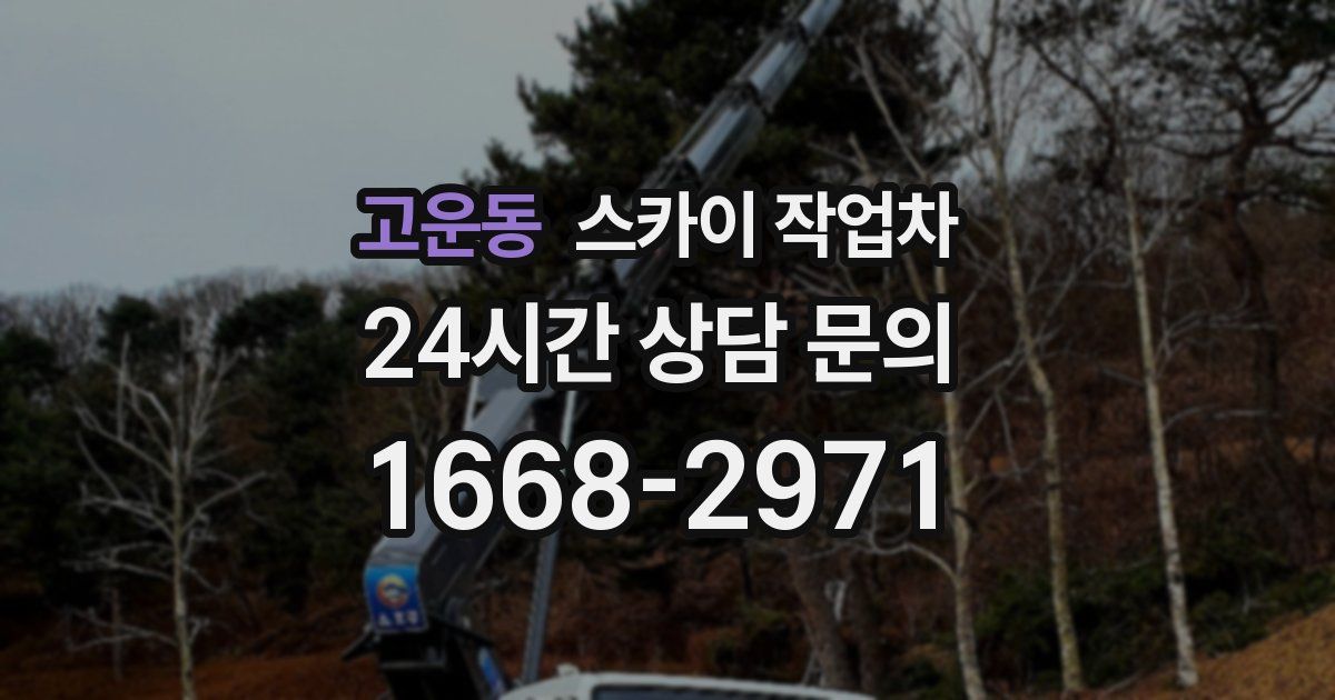 고운동 스카이 작업차