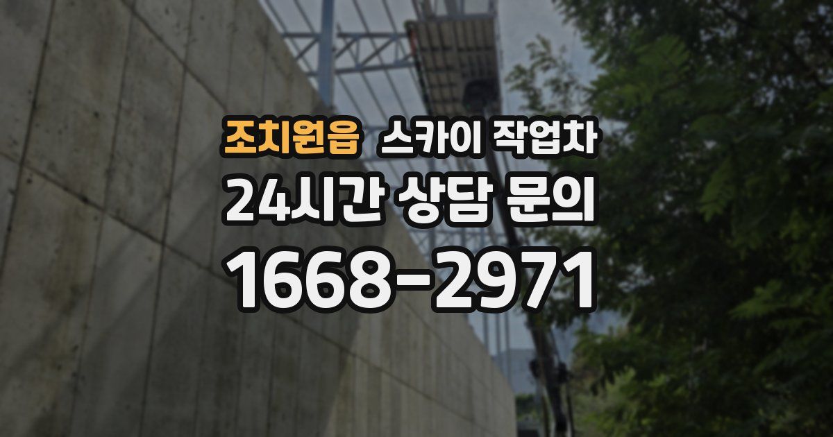 조치원읍 스카이 작업차