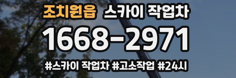 조치원읍 스카이 작업차