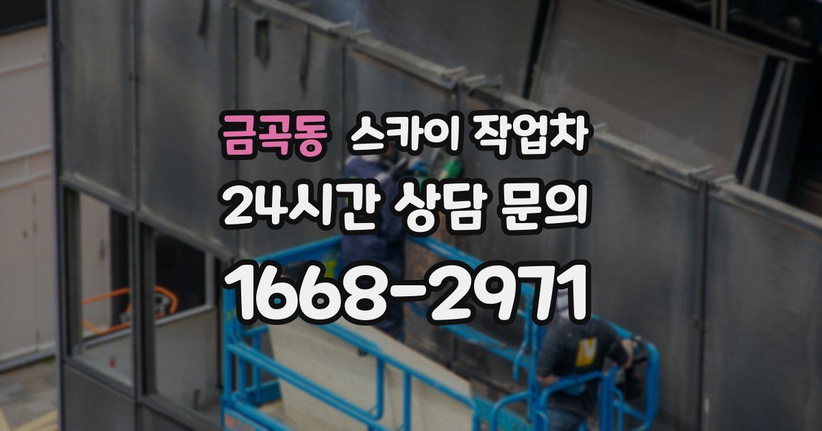 금곡동 스카이 작업차