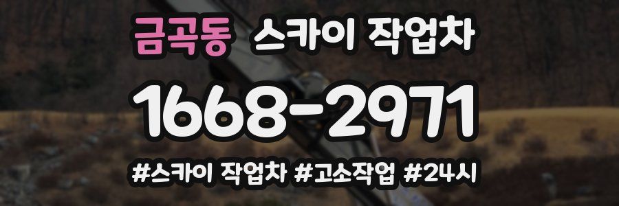 금곡동 스카이 작업차