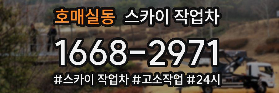 호매실동 스카이 작업차