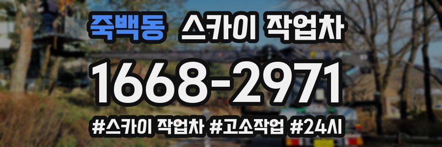 죽백동 스카이 작업차