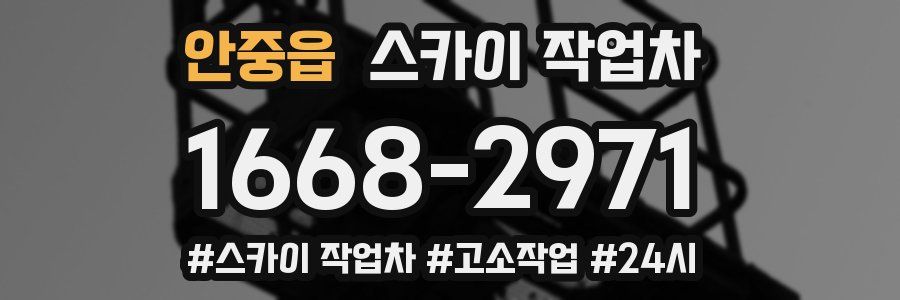 안중읍 스카이 작업차