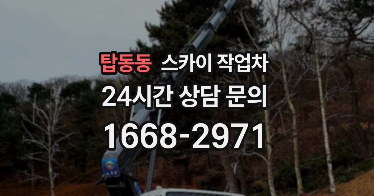 탑동동 스카이 작업차
