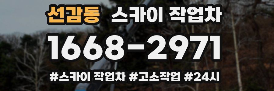 선감동 스카이 작업차