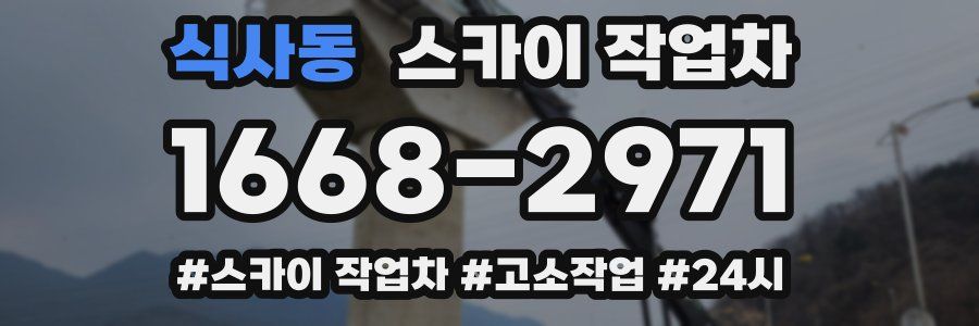 식사동 스카이 작업차