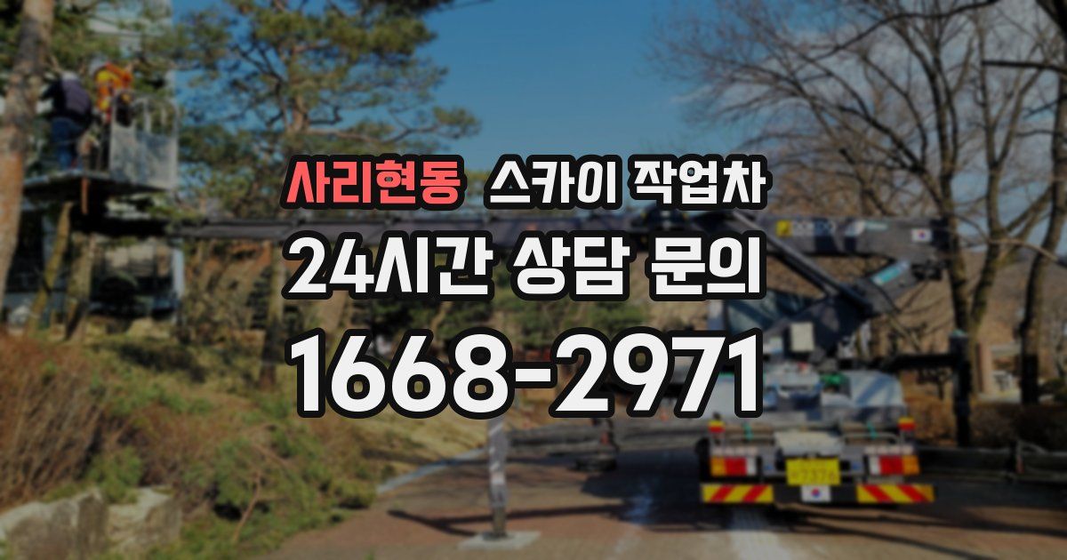사리현동 스카이 작업차