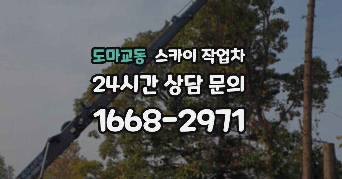 도마교동 스카이 작업차