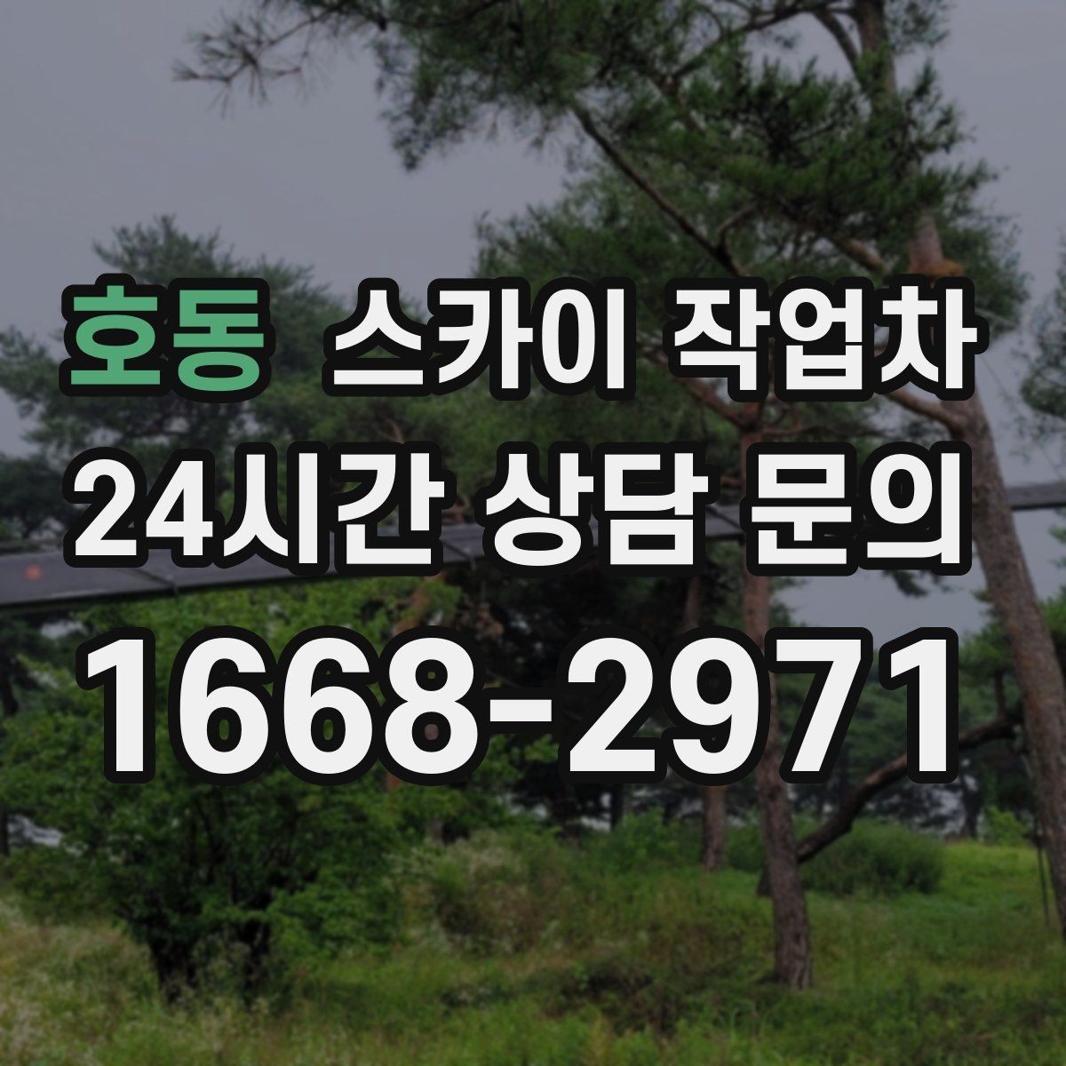 호동 스카이 작업차 높이와 위치만 알면 상담이 빨라집니다