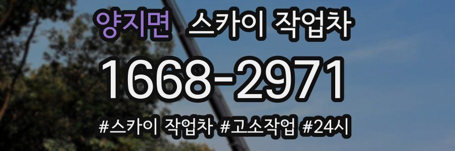 양지면 스카이 작업차