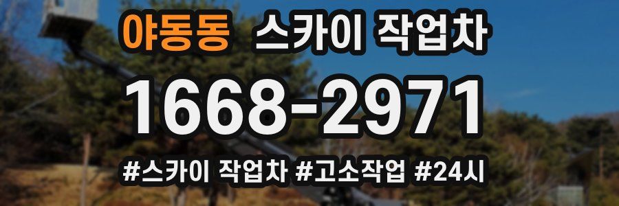 야동동 스카이 작업차