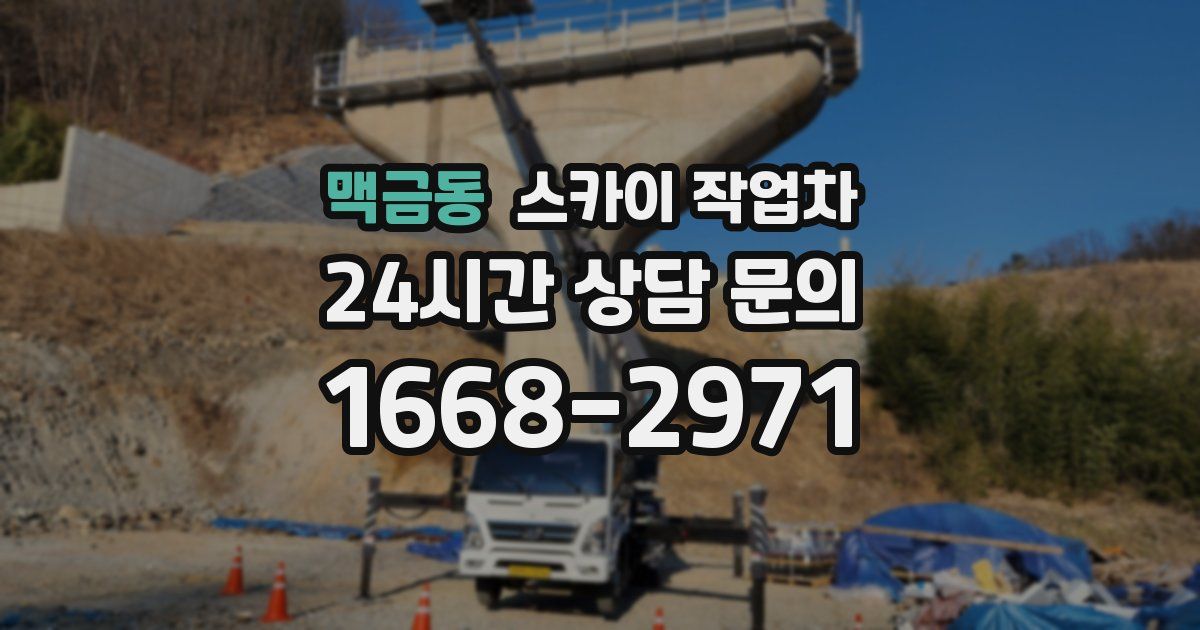 맥금동 스카이 작업차