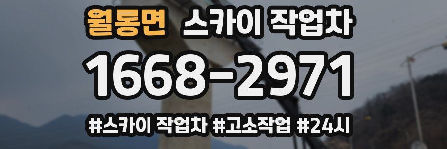 월롱면 스카이 작업차