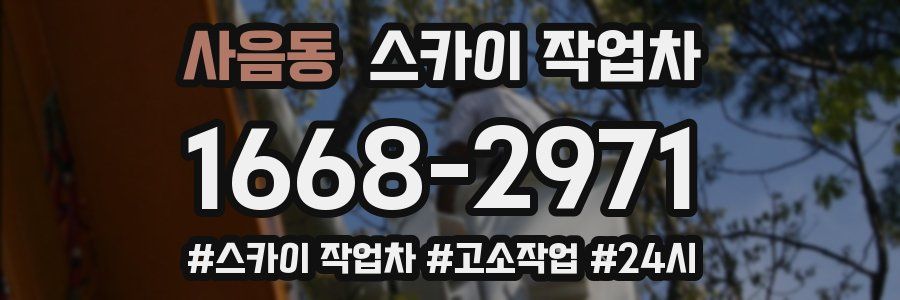 사음동 스카이 작업차