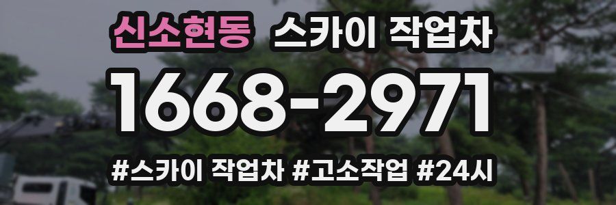 신소현동 스카이 작업차