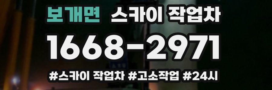 보개면 스카이 작업차