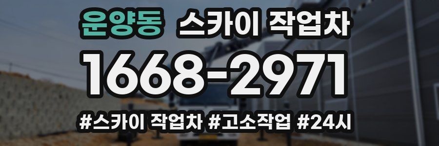 운양동 스카이 작업차