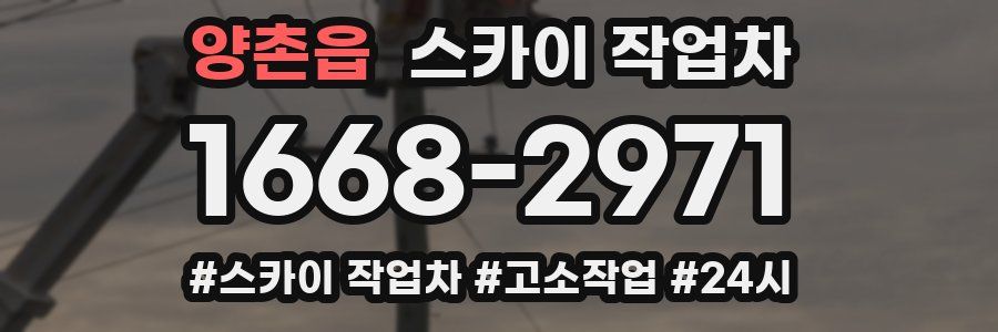 양촌읍 스카이 작업차