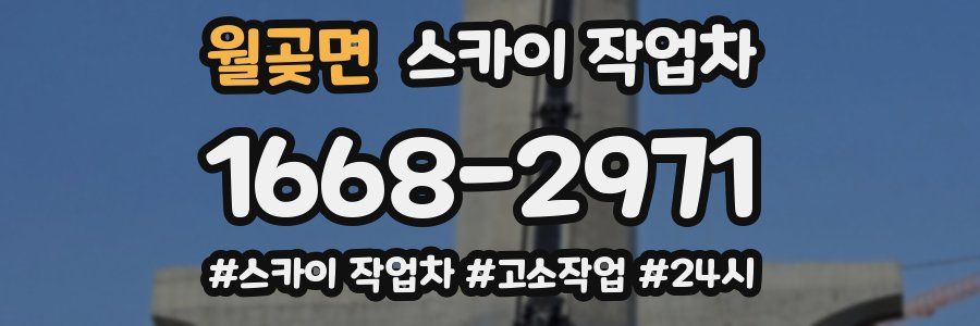 월곶면 스카이 작업차