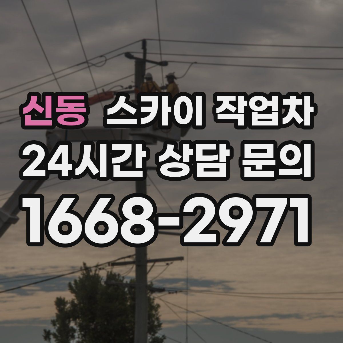 신동 스카이 작업차