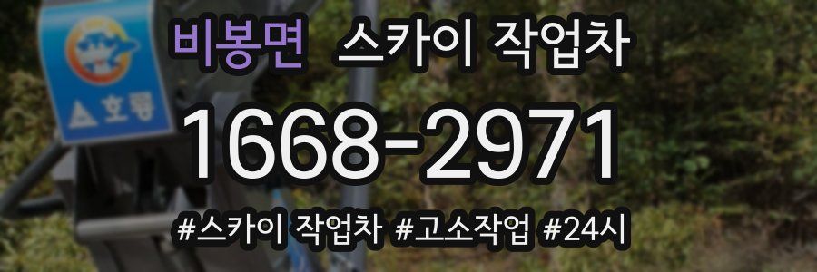 비봉면 스카이 작업차