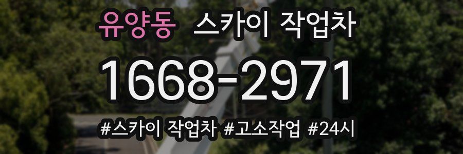 유양동 스카이 작업차