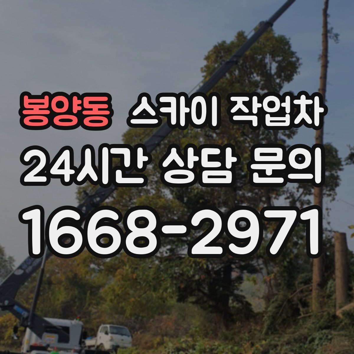 봉양동 스카이 작업차